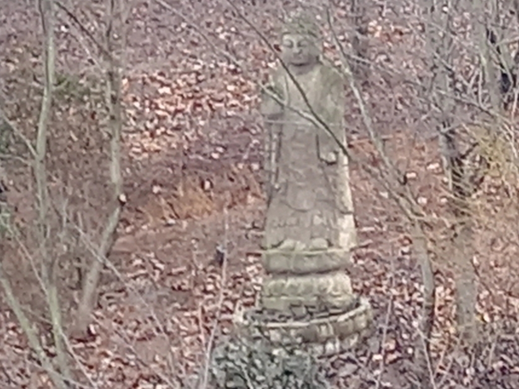 img.jpg