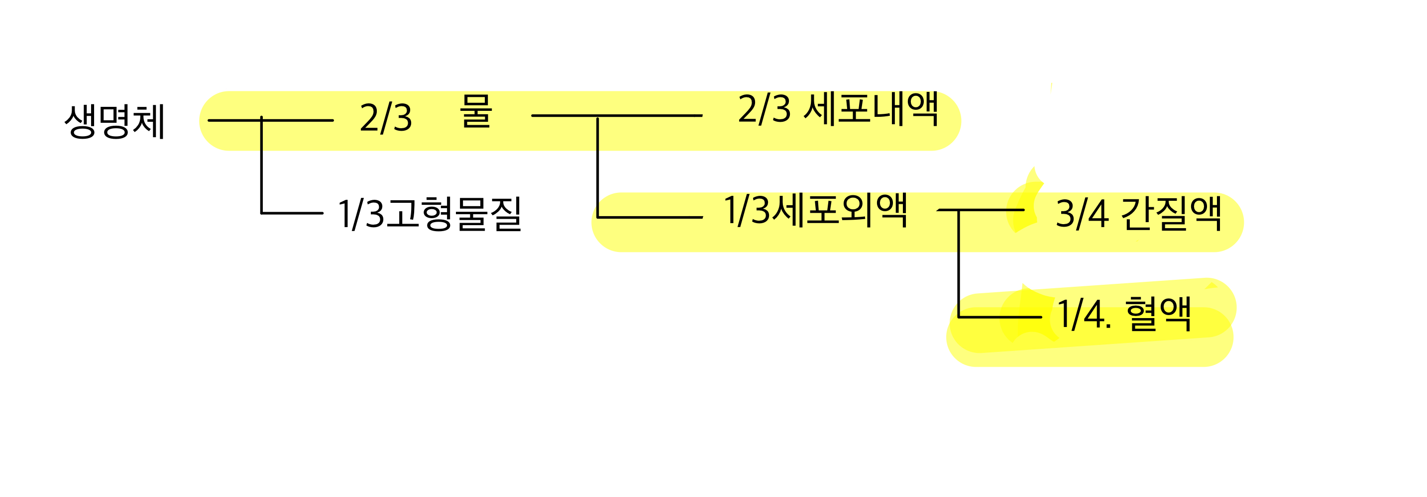  체액 (Body Fluid)