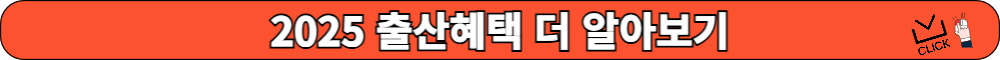 2025 출산혜택 총정리
