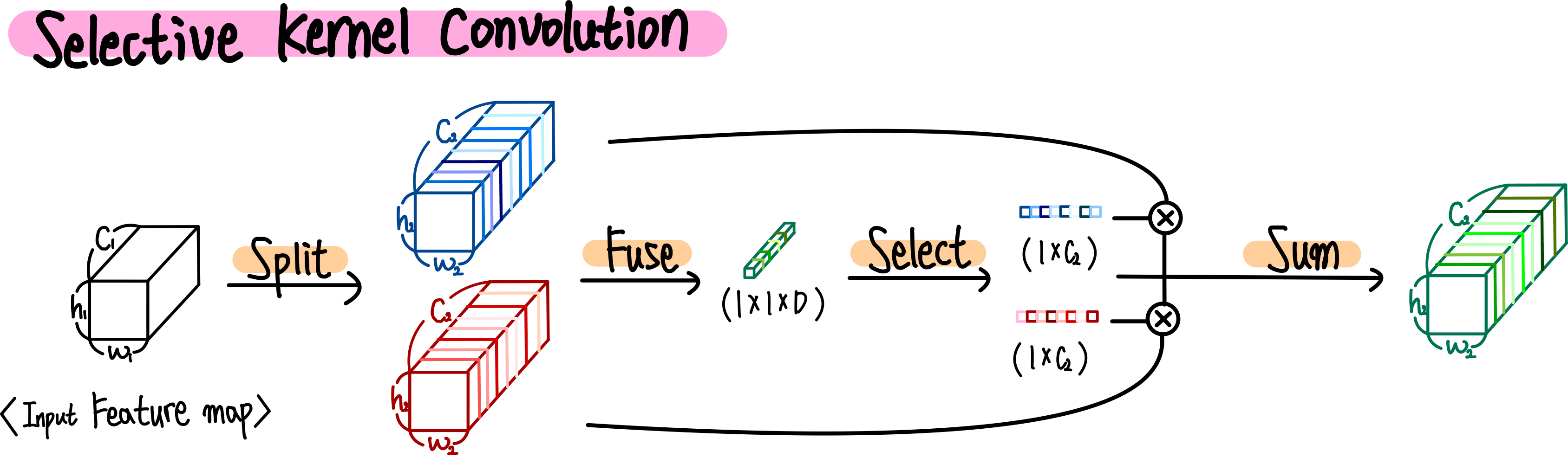 6.selective kernel convolution