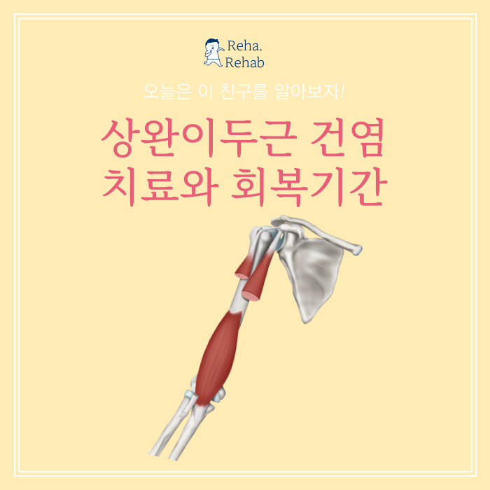 상완이두근 건염은 상완 부위의 이두근에 연결된 건(힘줄)에서 발생하는 염증입니다. 상완이두근은 팔의 앞쪽 상완에 위치하고&#44; 팔꿈치를 굽히는 동작을 담당하는 근육입니다.