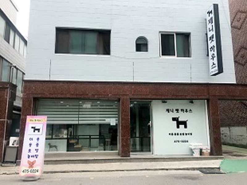 2호선 잠실나루역 애견미용 잘하는 곳 BEST4 | 추천 가게 알아보기 | 가격비교 및 후기 | 예약 방법 안내 | 반려동물 관리 꿀팁 | 총정리 - 2. 제니펫하우스 소개 2. 제니펫하우스 소개