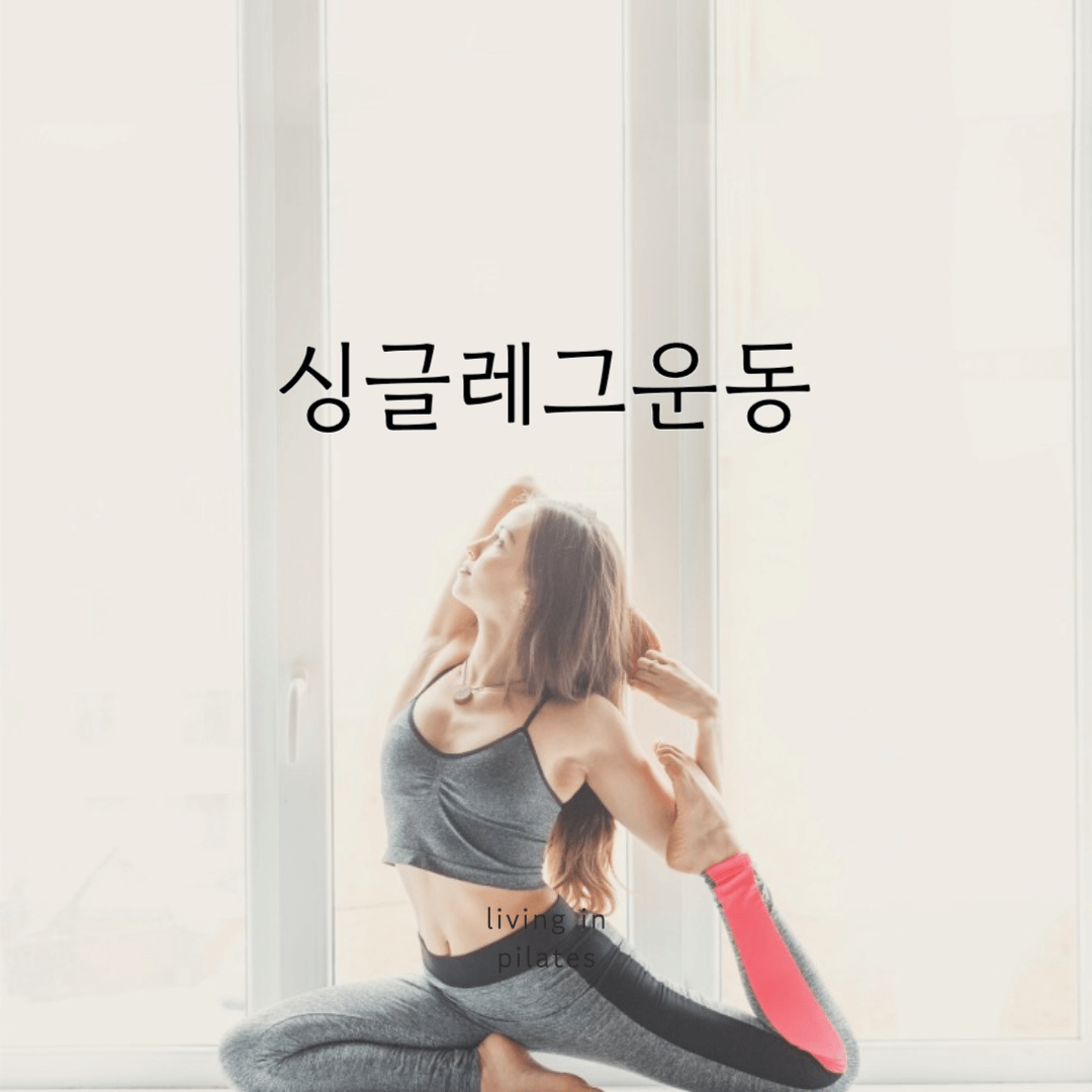 싱글레그운동