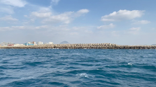 겨울 여행지 겨울 국내 여행지 :제주도 14