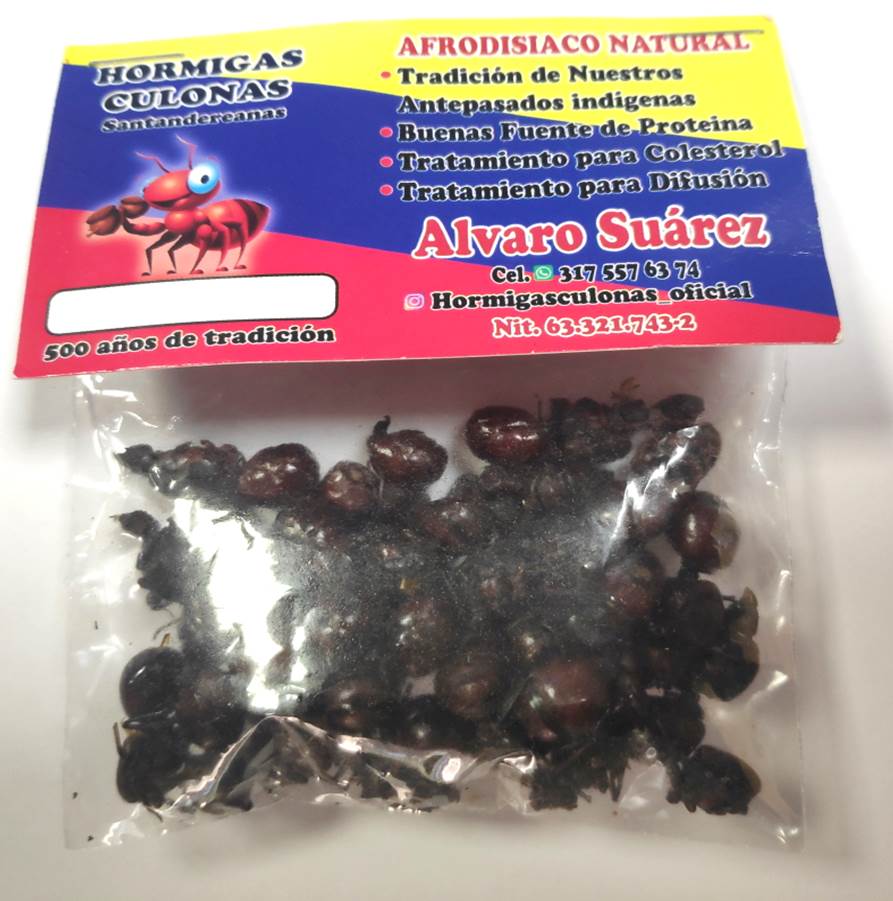 Hormigas culonas del Colombia