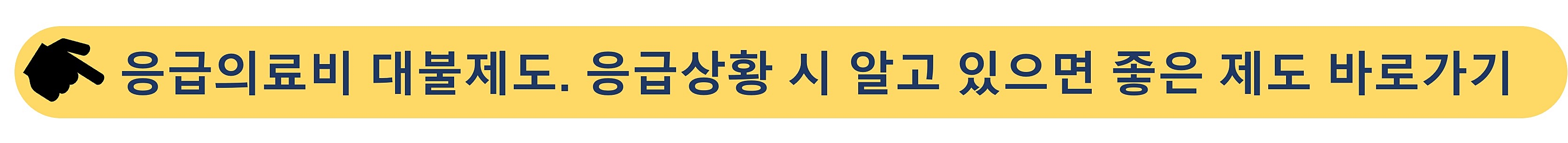 응급의료비 대불제도-응급상황