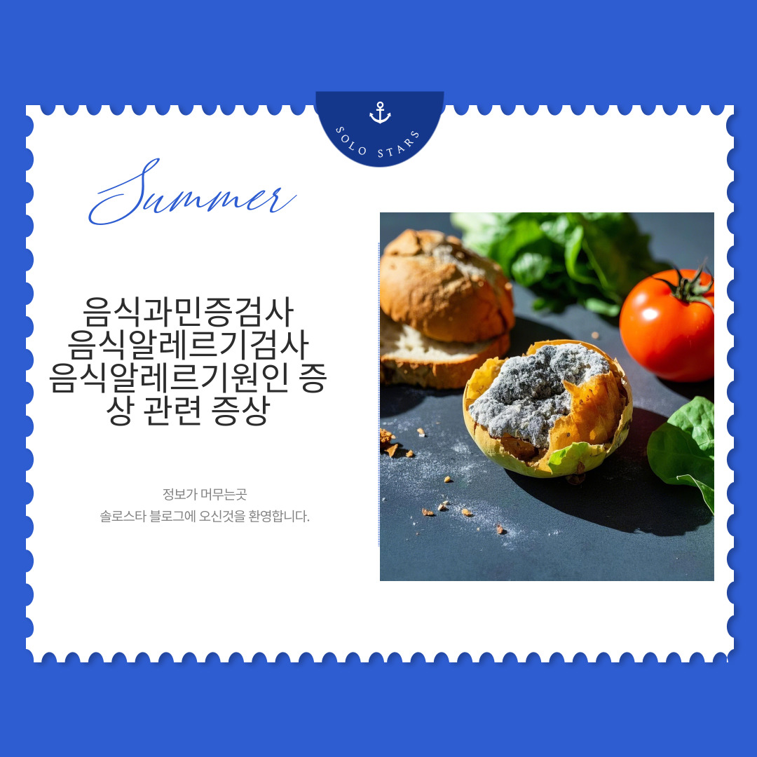 음식물 사진