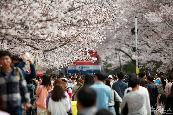 진해 군항제 벚꽃축제 안내 (2023 최신버전) 23