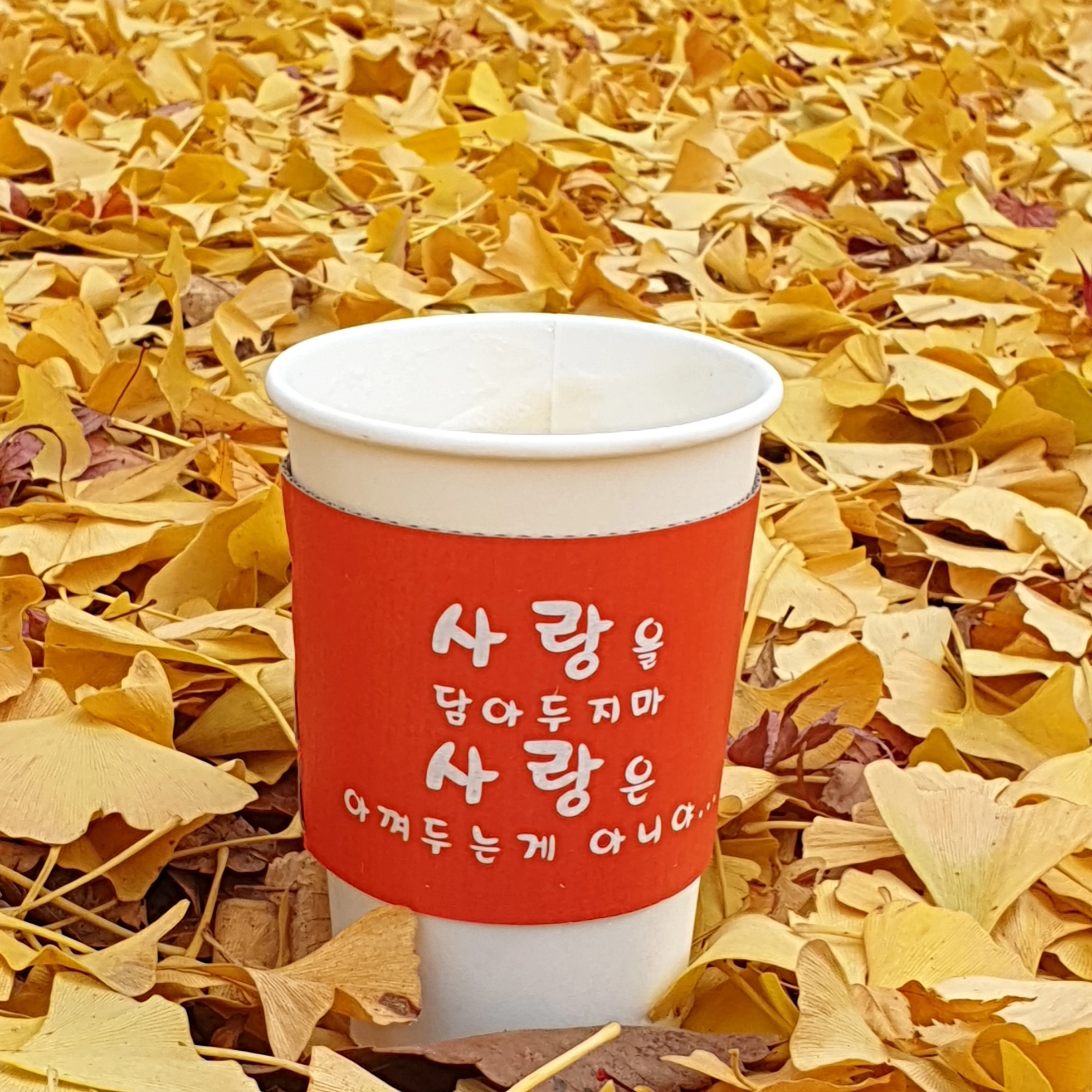 사랑은...사랑은...