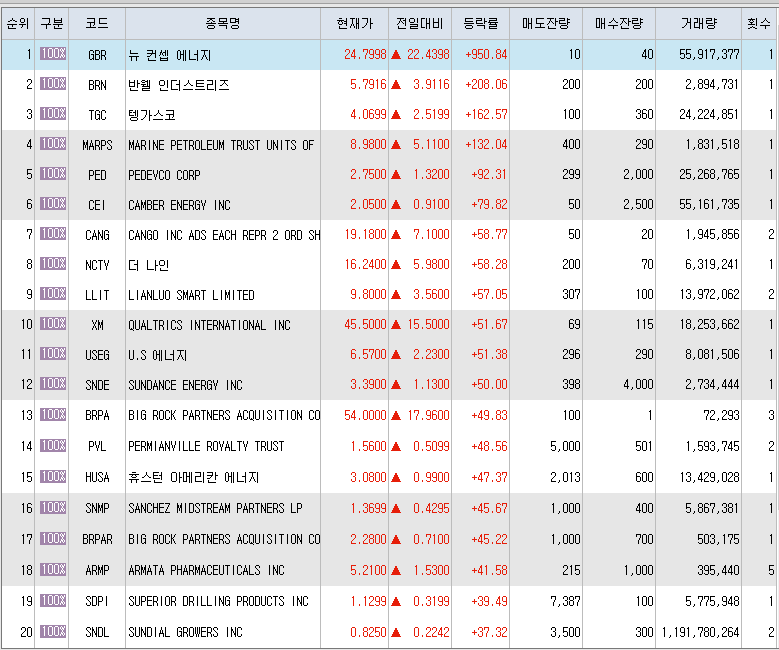  1월28일 미국주식 상승률 상위 종목 TOP 300