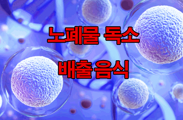  몸속 노폐물, 독소 배출 좋은 음식 7가지