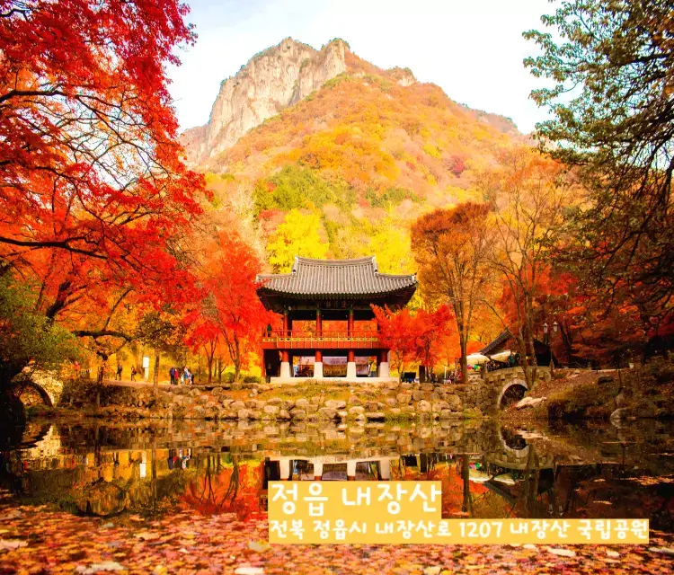 정읍 내장산 단풍 사진