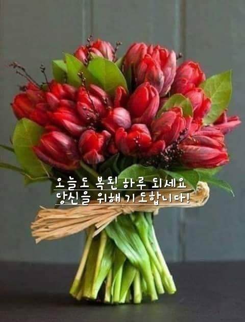  오늘의 좋은글 304번째 고통과 역경을 통해 성공으로 나아가기 위한 간략한 방법