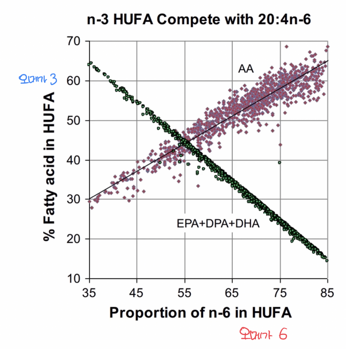 체내 오메가 3,6 비율비교표