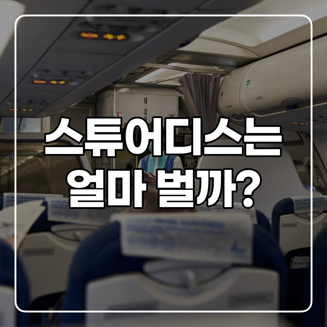  꿈의 직장 스튜어디스는 얼마 버는 지 궁금해서 찾아봄!