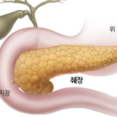  소리없는 위험신호 췌장암 증상