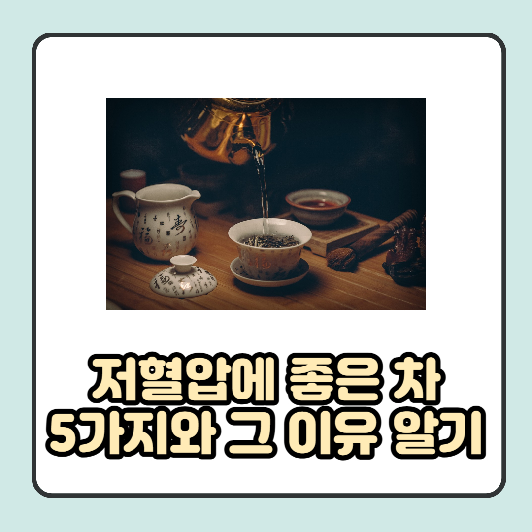 저혈압에 좋은 차 5가지