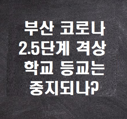  부산 코로나 2.5단계 격상, 학교 등교 중지되나?
