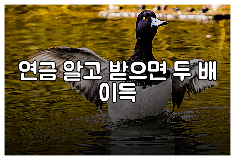 연금 알고 받으면 두 배 이득