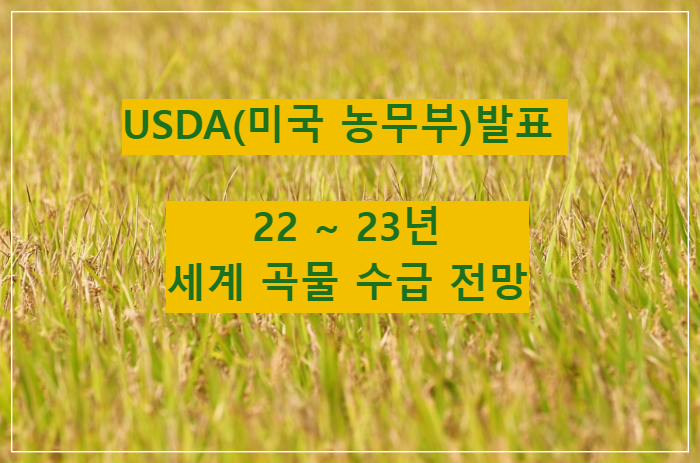 USDA(미국-농무부)발표-22~23년도-세계-곡물-수급-전망