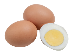 연골에 좋은 음식