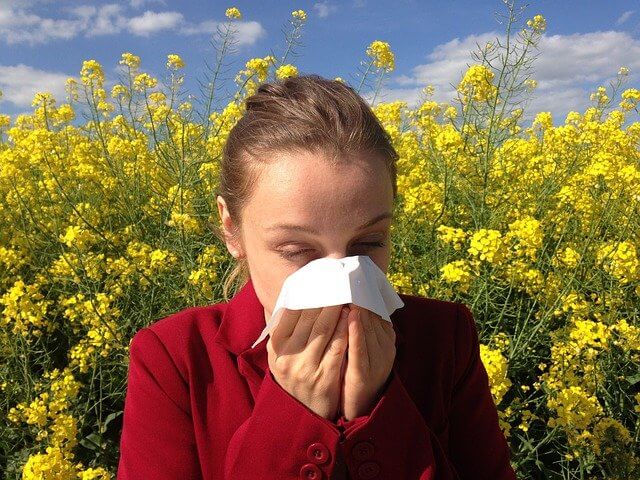 꽃가루 알레르기 증상