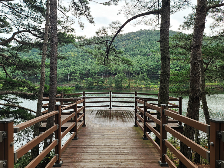 충남 걷기 좋은 숲길 국내여행 걷기 좋은 길, 21