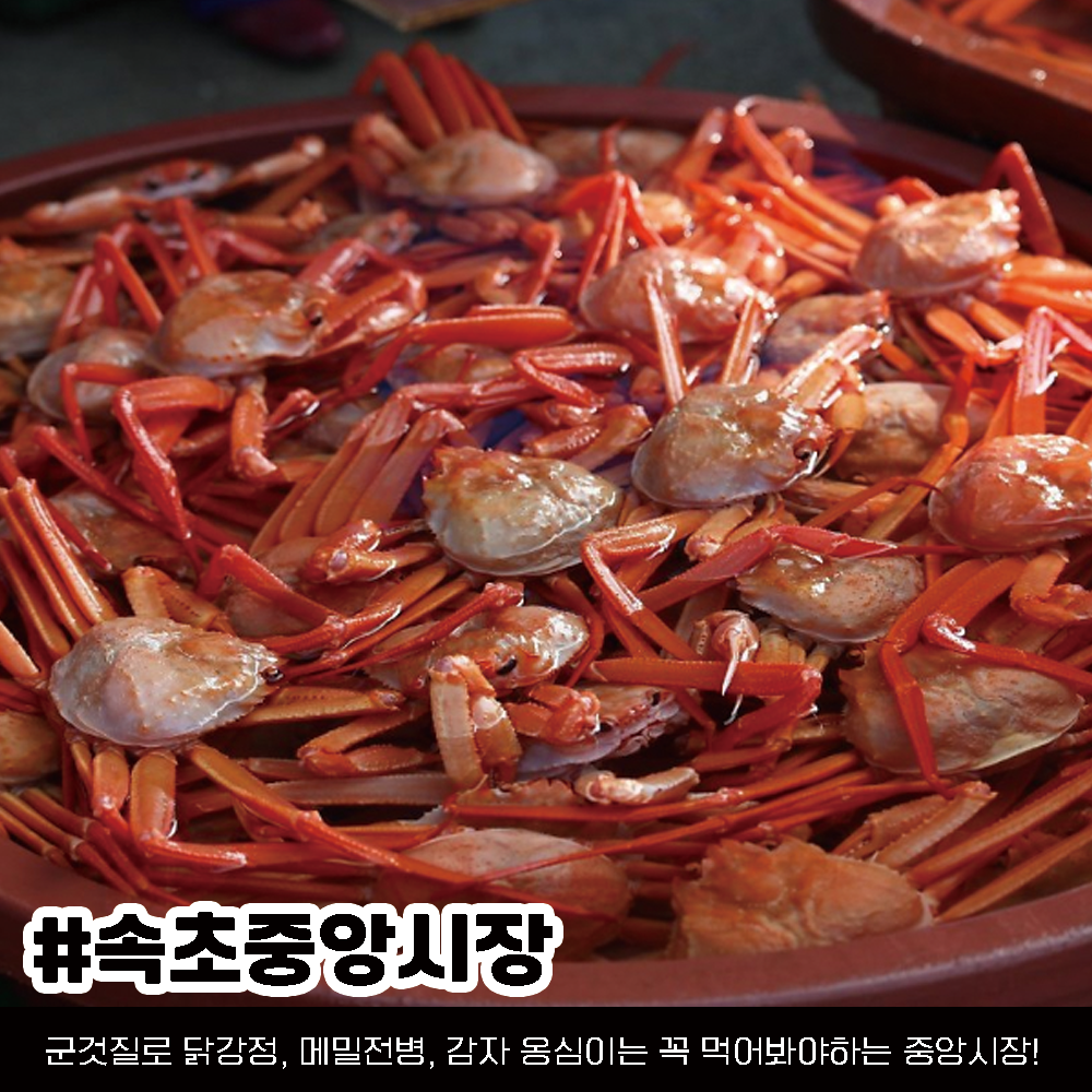 속초 가볼만한 곳, 속초여행 코스 정리 (+위치 핫플 가격)