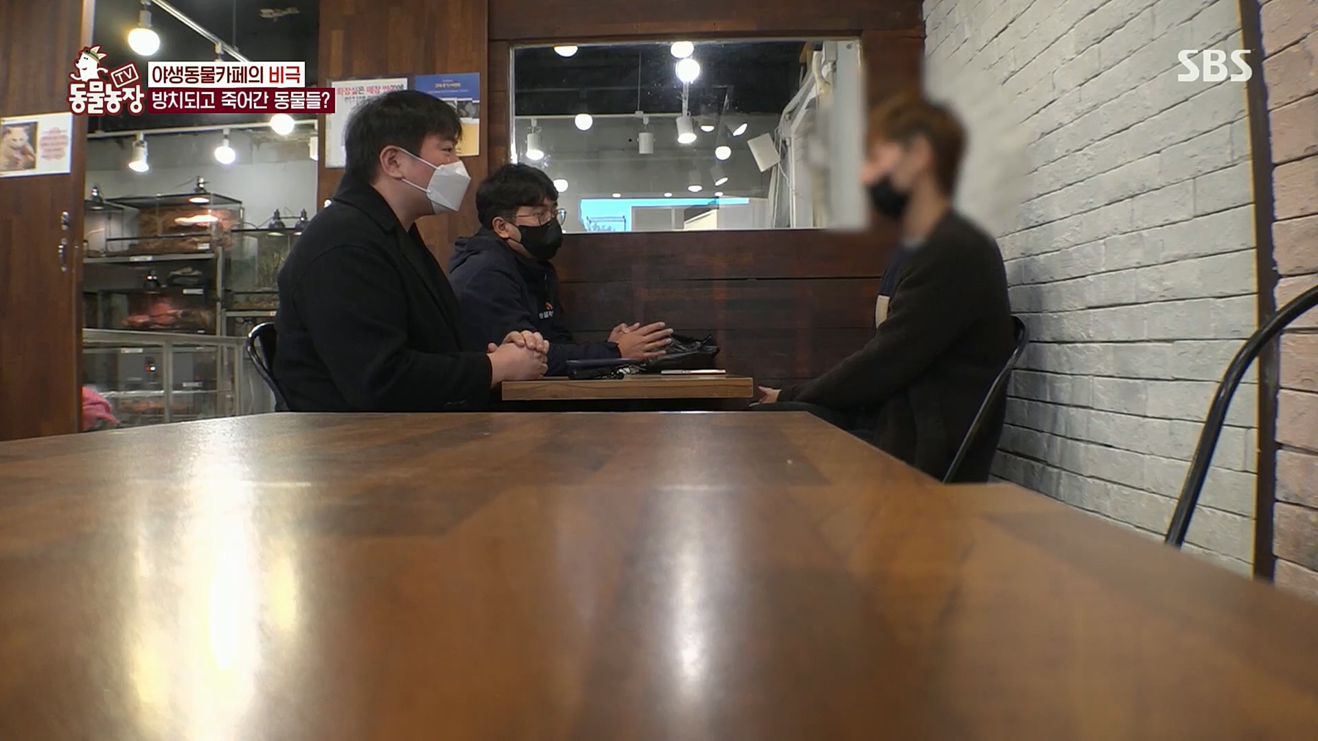 TV 동물농장.E1097.221127p.H264-F1RST.mp4_20221127_181720.102.jpg