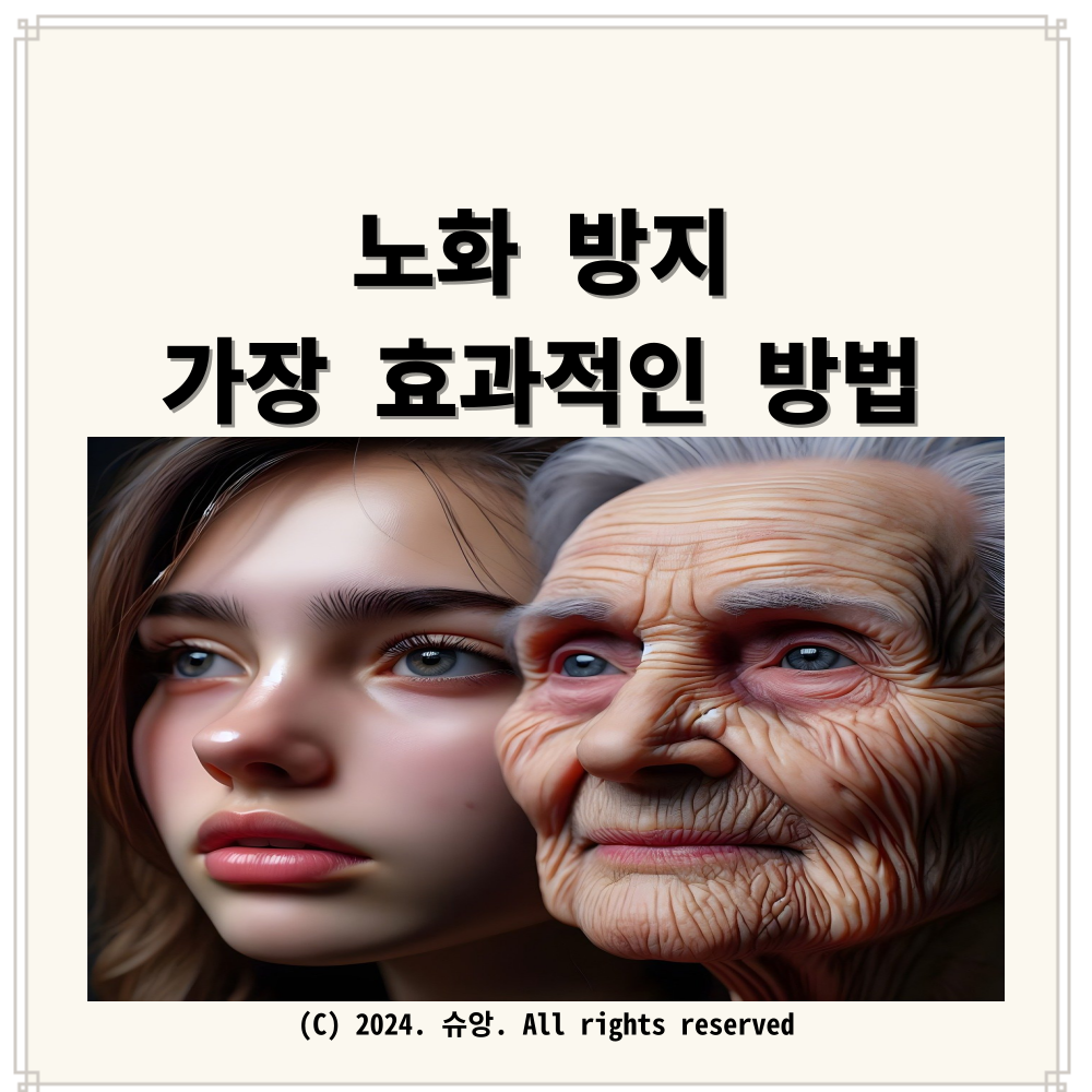 노화방지