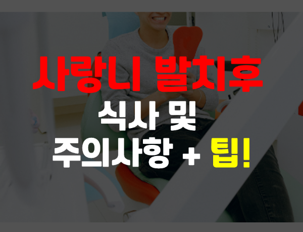  사랑니 발치후 식사 및 주의사항 총정리
