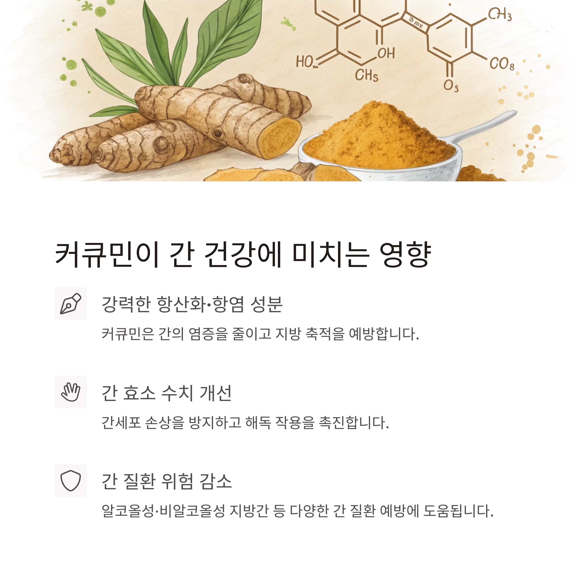 강황차