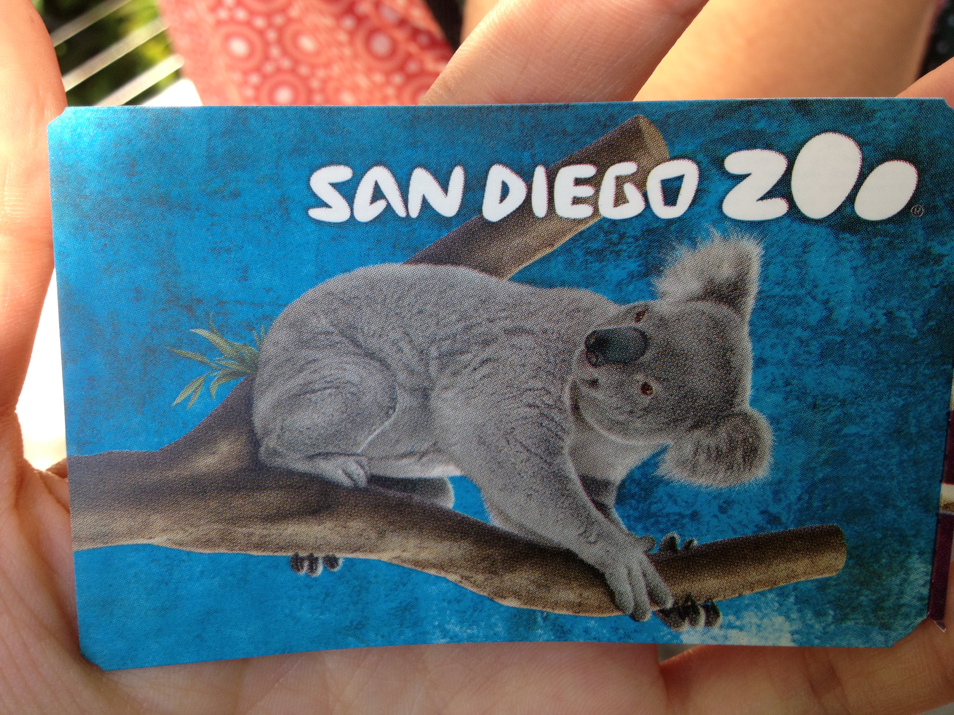 Sandiego zoo ticket