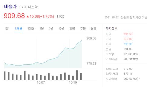  테슬라 주가 사상 최고가(+전망)