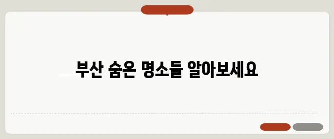 부산 가볼만한곳 현지인 추천 스폿 TOP5