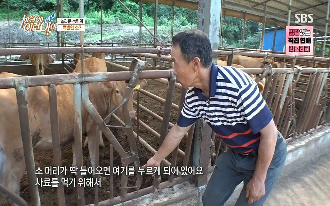 순간포착 세상에 이런일이.E1190.220727p-NICE.mp4_20220727_202102.473.jpg