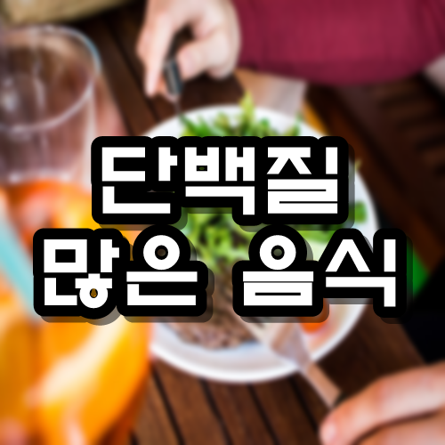  단백질 많은 음식 순위