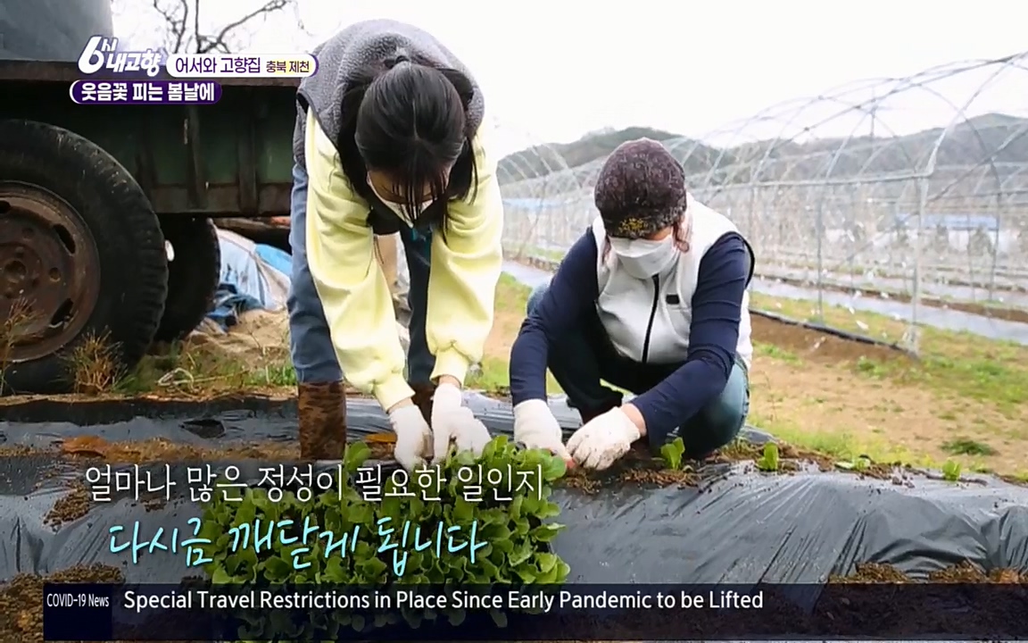 6시 내고향.E7518.220426p.H264-F1RST.mp4_20220504_191108.070.jpg