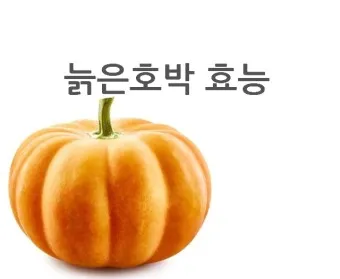호박 이미지