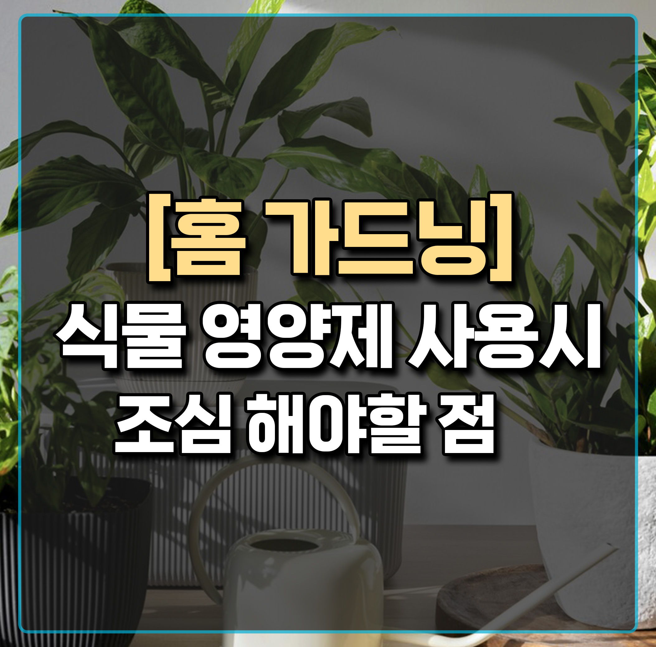 홈가드닝-미세먼지-차단-식물영양제-조심해야할점