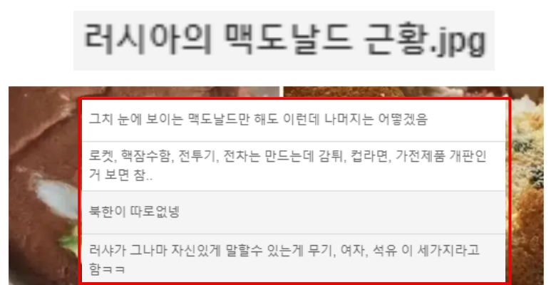  러시아의 맥도날드의 충격적인 근황