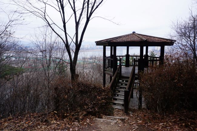 2층 팔각정의 전망대&#44; 좌우에 우거진 잡목&#44; 뒤로 보이는 남한강&#44; 흐린 하늘&#44;