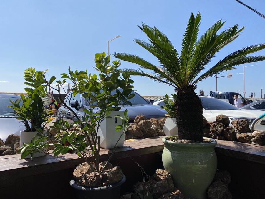 체험하고 느낀 후기 크릴오일의 효능을 직접 11