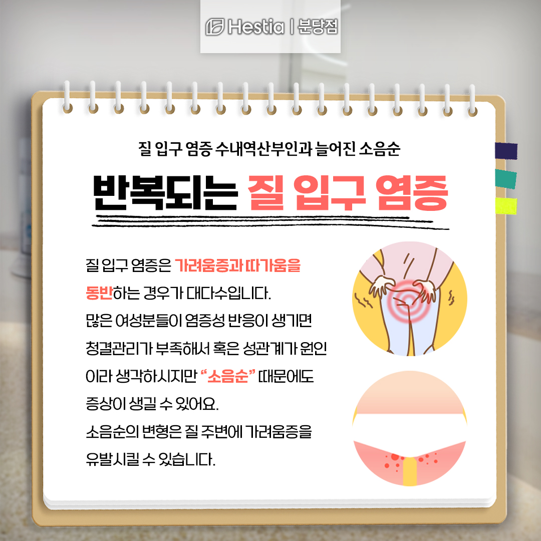 질 입구 염증 수내역산부인과 늘어진 소음순 질 입구 염증 자주 반복된다면?