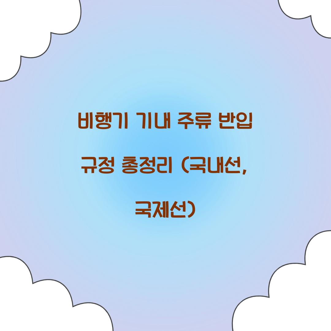 비행기 기내 주류 반입