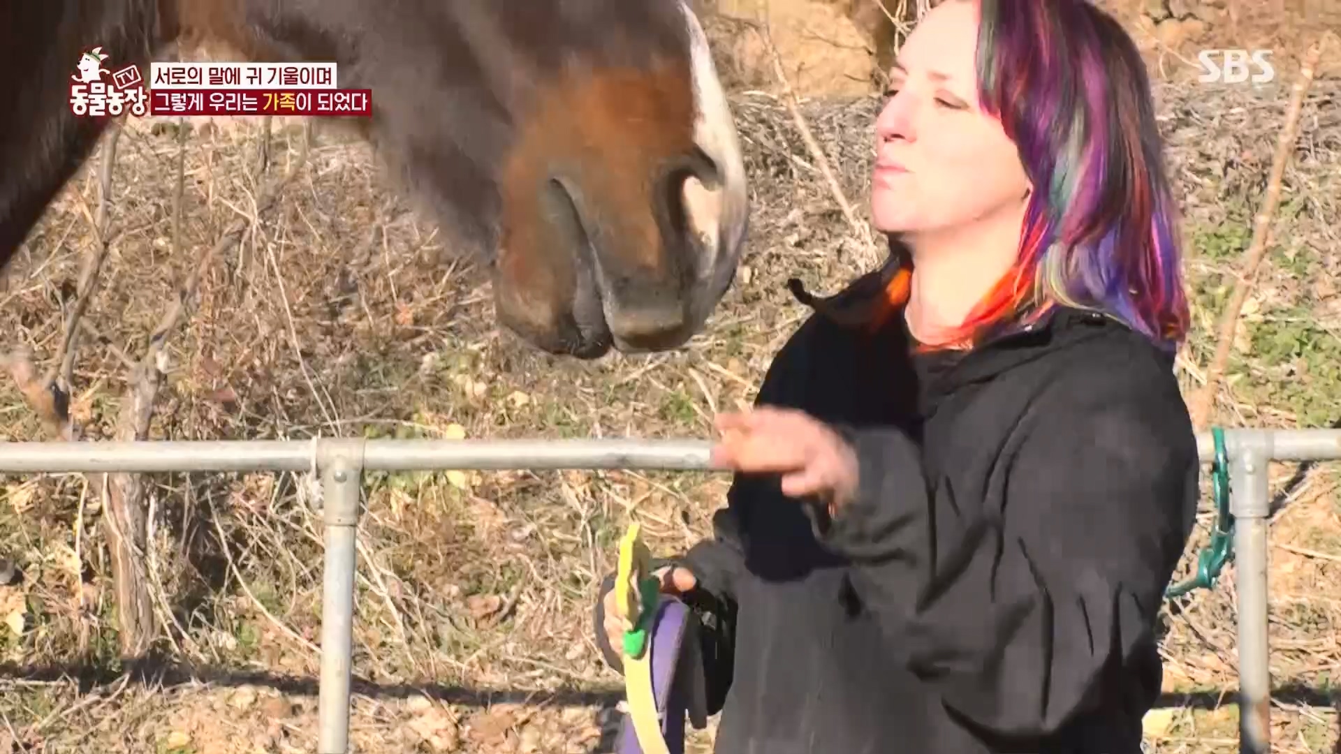 TV 동물농장.E1158.240211p.H264-F1RST.mp4_20240211_194058.014.jpg