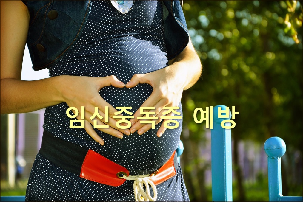  임신중독증 예방과 임신중독증 치료 방법