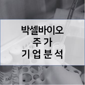 "박스루킨" 정부 승인 임박 - 박셀바이오 주가 기업분석