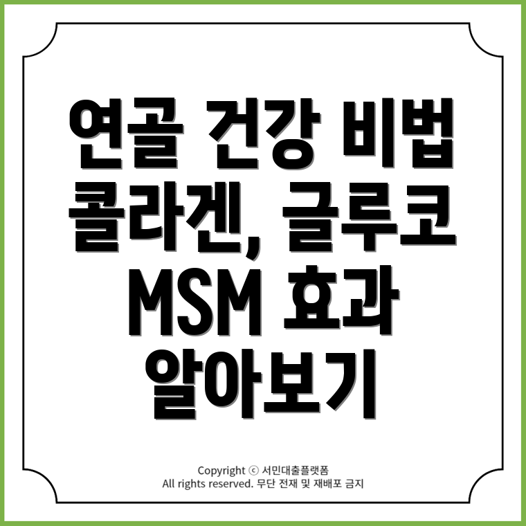 연골 건강을 위한 콜라겐, 글루코사민, MSM 효능 비교와 추천 영양제