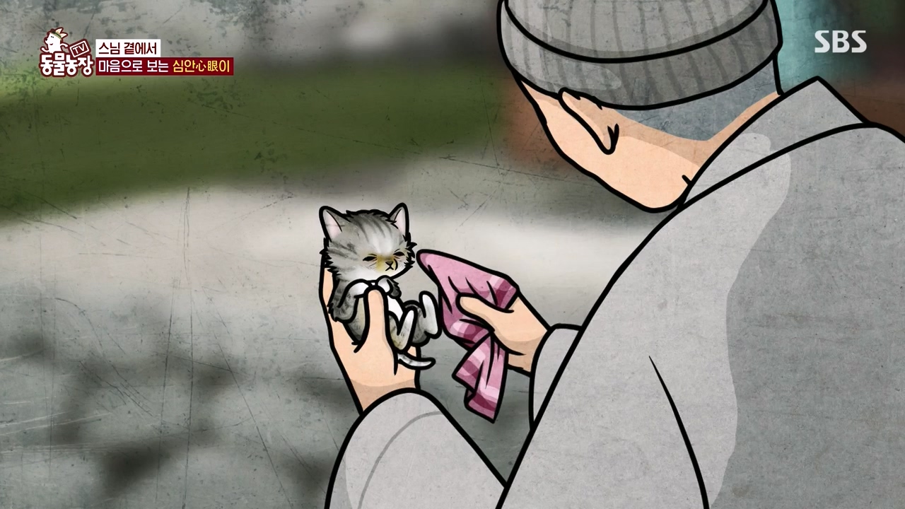 TV 동물농장.E1143.231030p-NEXT.mp4_20231029_161417.494.jpg